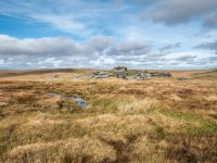 203 Lower White Tor 02-1002304 PS Adj Upload.jpg