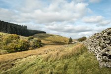 205 Crockern Cottage 01-1002312 PS Adj Upload.jpg