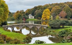 IMG_2491 bi  Large.jpeg