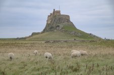 _7816162.jpg _7816162.jpg