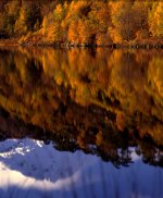 2013-11-10, RZ67, Velvia 50, Back 3C, River Affric , 4-2.jpg