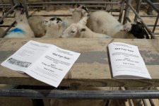 SON00059.jpg SON00059.jpg