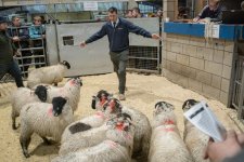 SON00231.jpg SON00231.jpg