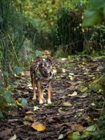 Oct 20-25 (2 of 2).JPG