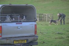 _7816459.jpg _7816459.jpg