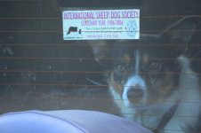 _7816478.jpg _7816478.jpg