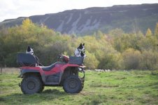 _7816490-2.jpg _7816490-2.jpg