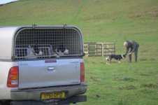 _7816457-2.jpg _7816457-2.jpg