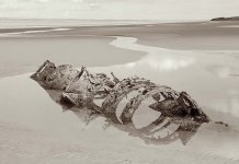 2025-09-29-0038-copy.jpg-tp-v1.jpg 2025-09-29-0038-copy.jpg-tp-v1.jpg