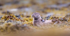 _G2A0260-Edit-2.jpg _G2A0260-Edit-2.jpg