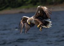 _G2A2187-Edit-Edit.jpg _G2A2187-Edit-Edit.jpg