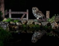 _G2A7580-Edit-2.jpg _G2A7580-Edit-2.jpg