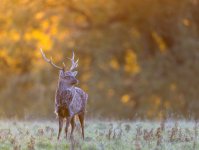 _K9A1650-Edit-2.jpg _K9A1650-Edit-2.jpg