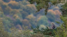 _K9A9411-Edit.jpg _K9A9411-Edit.jpg