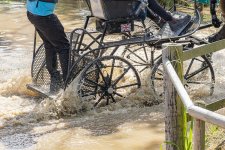 Week 43 - Circles.jpg