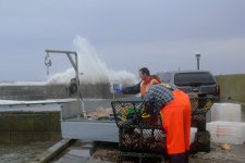 B McDonald 2412 Open 3.        Rough day..JPG