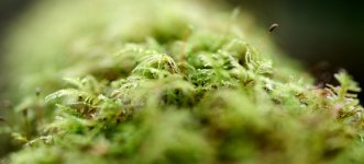 02-11-25 - DSC01158.jpg