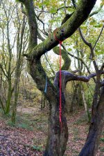 02-11-25 - DSC01152.jpg