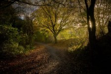 02-11-25 - DSC01165.jpg