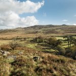 002 Black-a-Ven Cullever Steps 02-1002323 PS Adj Upload.jpg 002 Black-a-Ven Cullever Steps 02-1002323 PS Adj Upload.jpg