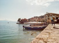 Its a duck.jpg Its a duck.jpg