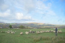 _7813269.jpg _7813269.jpg