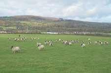 _7813277.jpg _7813277.jpg