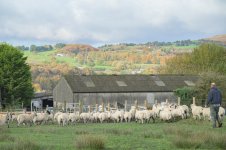 _7813301.jpg _7813301.jpg