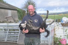 _7816504.jpg _7816504.jpg