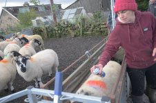 _7816531.jpg _7816531.jpg