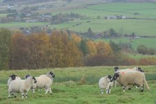 _7813341.jpg _7813341.jpg