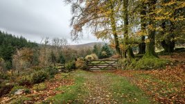 010 Leather Tor Farm 06-1729 PS Adj Upload.jpg