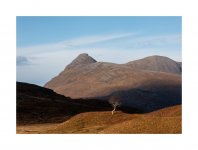 Quinag and the tree.jpg