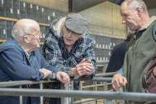 SON00519.jpg SON00519.jpg