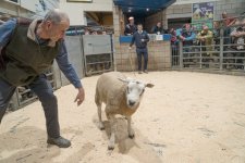 SON00568.jpg SON00568.jpg