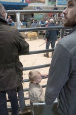 SON00604.jpg SON00604.jpg