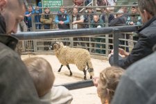 SON00611.jpg SON00611.jpg