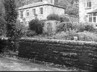 someones garden.jpg someones garden.jpg