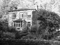 someones garden-2.jpg someones garden-2.jpg