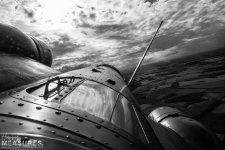 Web-1105.JPG Web-1105.JPG