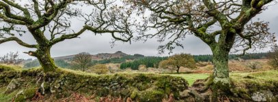013 Middleworth Tor (Leather Tor view) 02-1732 PS Adj Upload.jpg 013 Middleworth Tor (Leather Tor view) 02-1732 PS Adj Upload.jpg