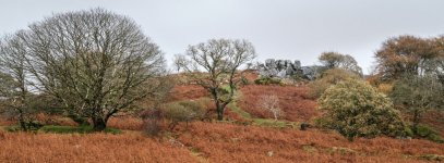 020 Snappers Tor 05-3671 PS Adj Upload.jpg 020 Snappers Tor 05-3671 PS Adj Upload.jpg