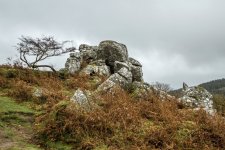 004 Snappers Tor 01-1002333 PS Adj Upload.jpg