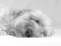 2025-11-09 11.57.07.jpg