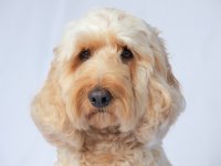 2025-11-09 13.38.58.jpg