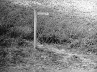 Signpost.jpg Signpost.jpg