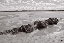 2025-09-29-0041-copy.jpg-tp-v1.jpg 2025-09-29-0041-copy.jpg-tp-v1.jpg