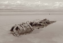 2025-09-29-0044-copy.jpg-tp-v1.jpg 2025-09-29-0044-copy.jpg-tp-v1.jpg