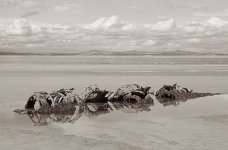 2025-09-29-0045-copy.jpg v2.jpg 2025-09-29-0045-copy.jpg v2.jpg