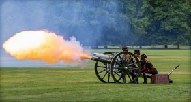 Week 45 - Snapper's Choice.jpg